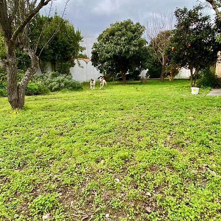 Salento Appartamenti Casalabate Kültér fotó