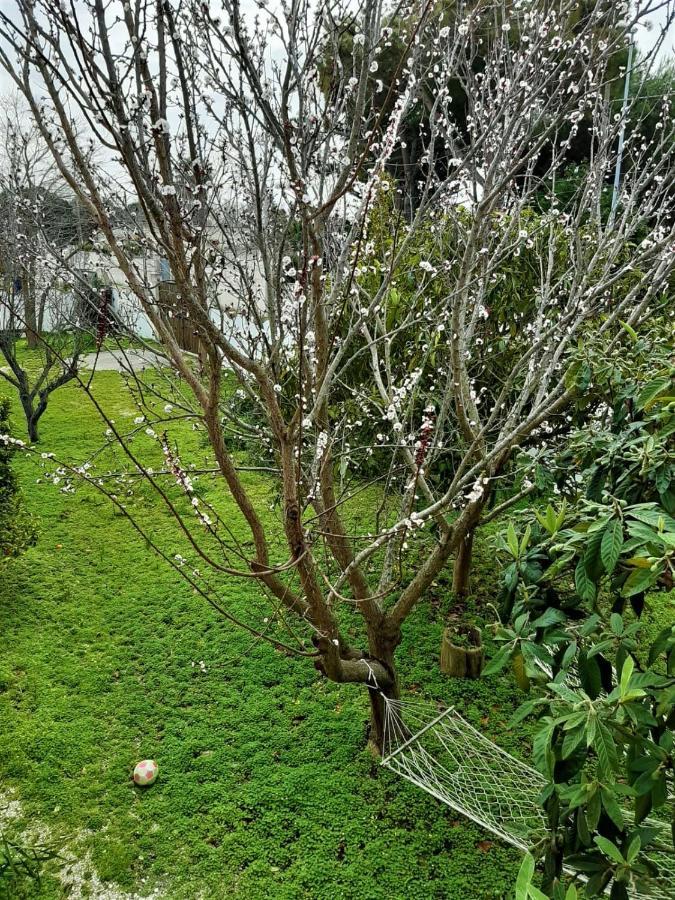 Salento Appartamenti Casalabate Kültér fotó