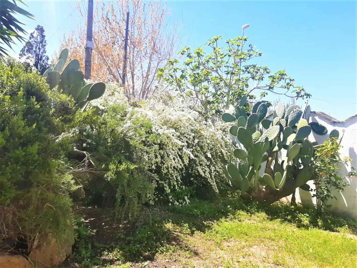 Salento Appartamenti Casalabate Kültér fotó